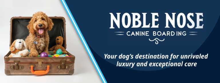 Noble Nose Canine Boarding- A luxury dog boarding experience. Serving the Shreveport Bossier area